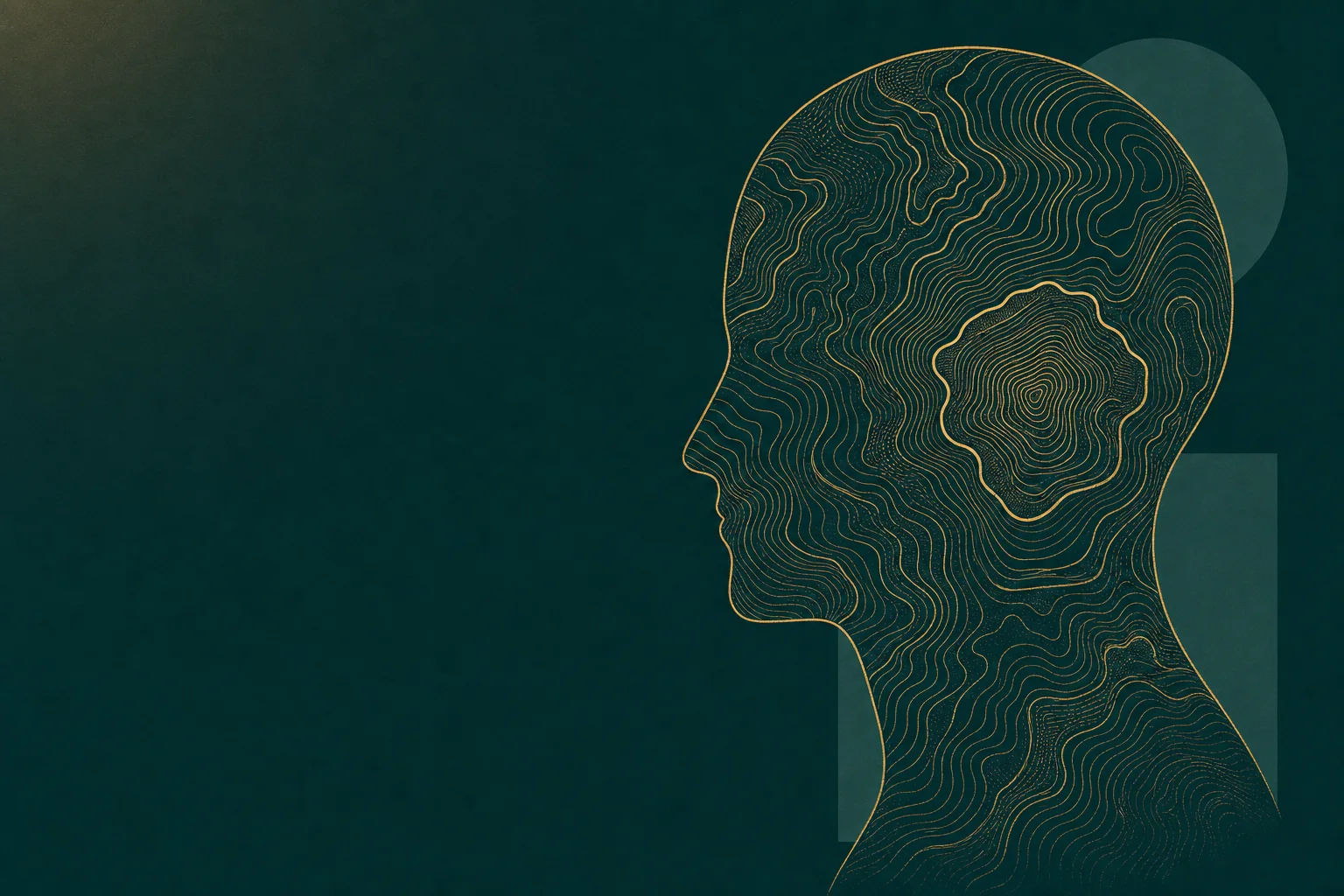 Koussan Law — traumatic brain injury practice area