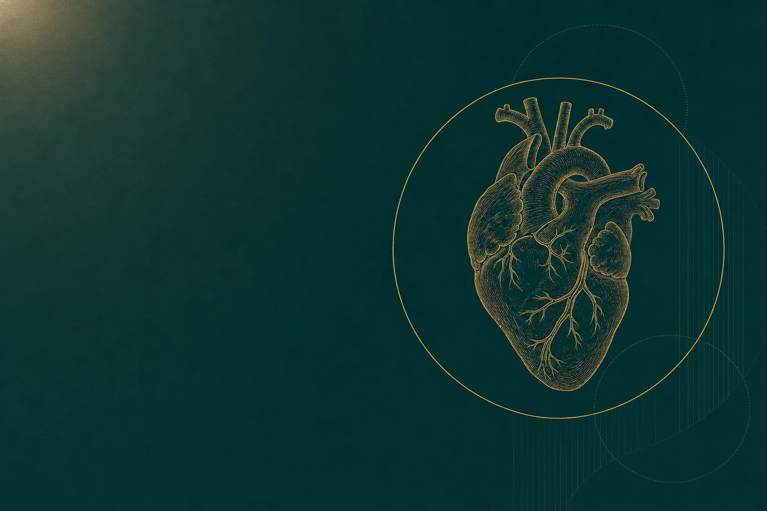 Koussan Law — internal bleeding organ damage practice area